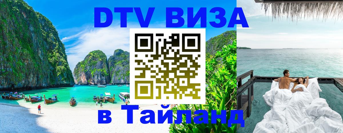 Сколько стоит DTV виза — актуальные цены, оформление даже без документов - 19.11.2025 